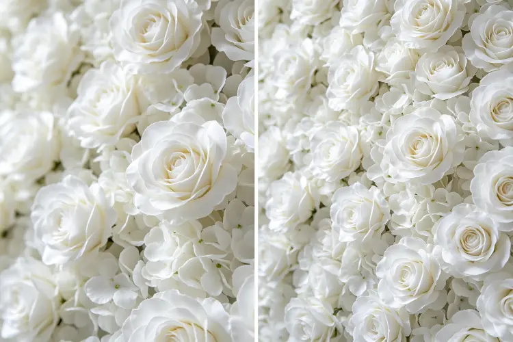 Low density vs high density flower wall close up comparison